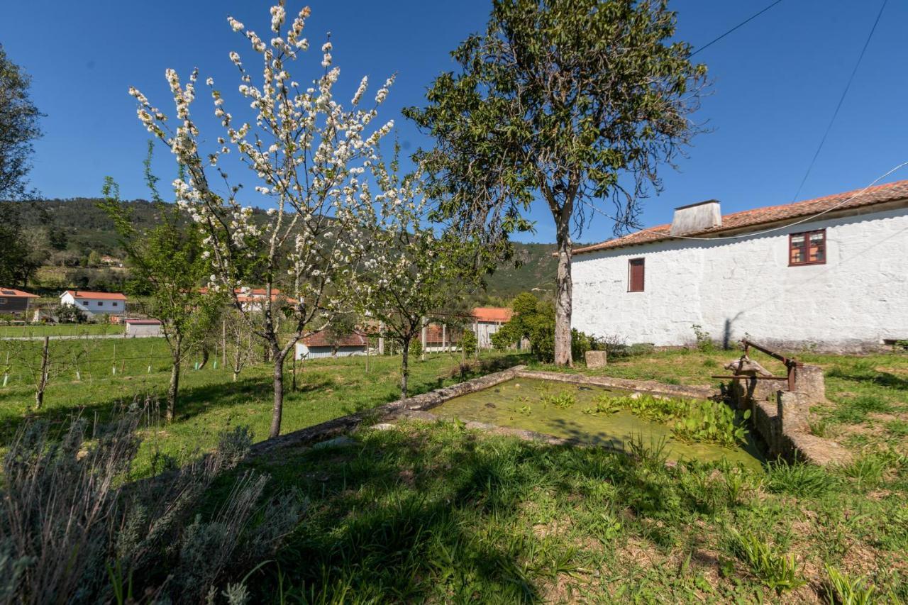 Gasthaus Casa Lavoura Em Requeixo Celorico De Basto Exterior foto