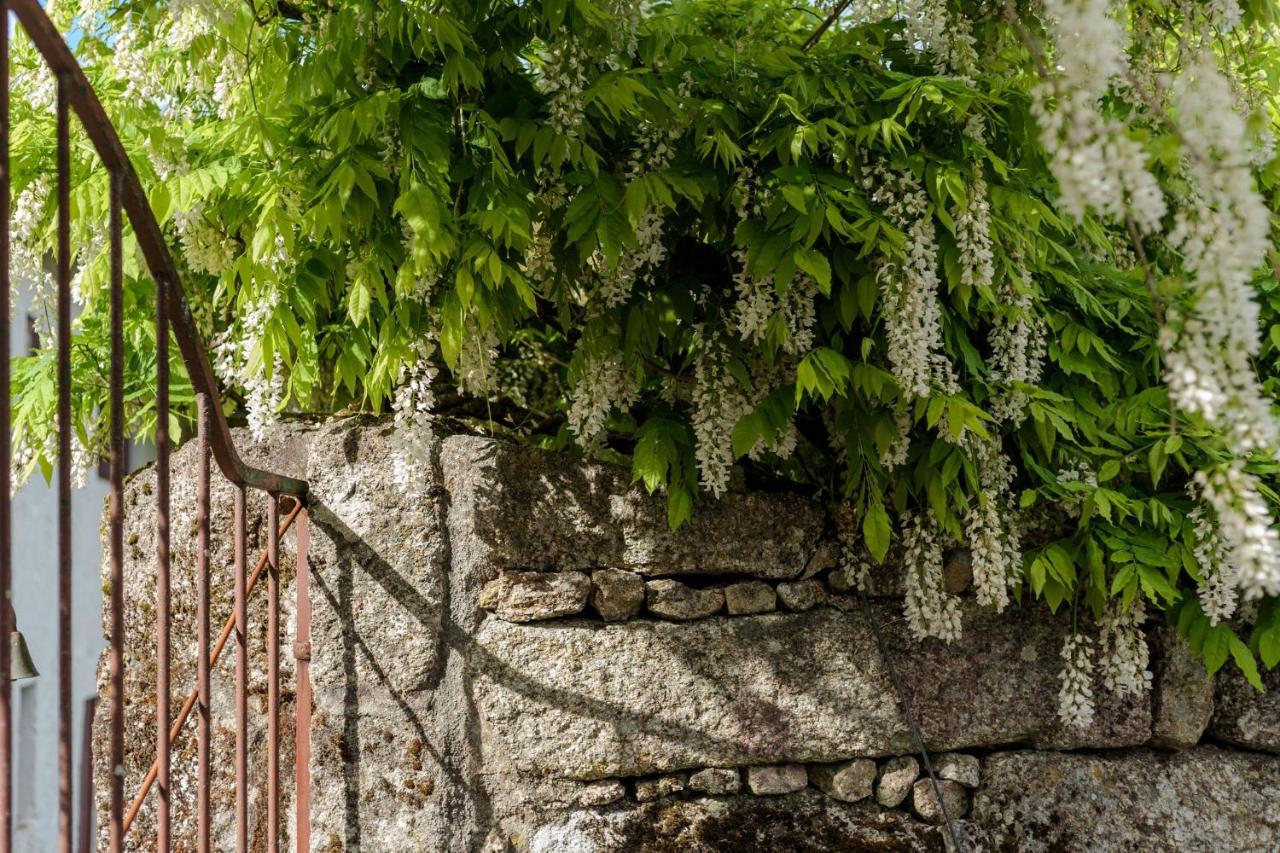 Gasthaus Casa Lavoura Em Requeixo Celorico De Basto Exterior foto